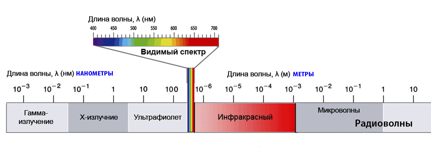 12334523