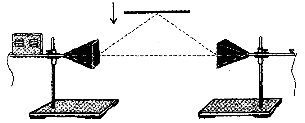 651981031